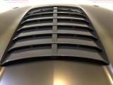 Hood (GT500 Style)